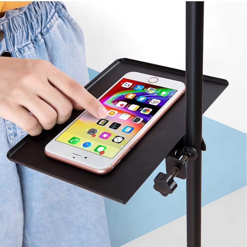 Foiltech Mic Microphone Tray fits all Music sheet TRIPOD stand, Mic,Microphone Stand Karoke Stand, Clamp-On Rack Tray ((Check first ..its SMALL SIZE for mouse and mic ))